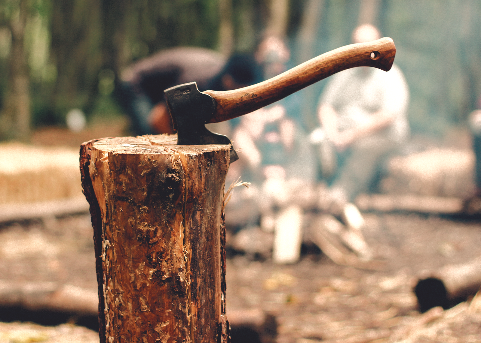 Axe in Tree Stump_edited_edited_edited_edited.jpg